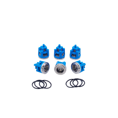 Kit 148: Check Valves + O-rings for Bertolini Pumps, P/N 089818973
