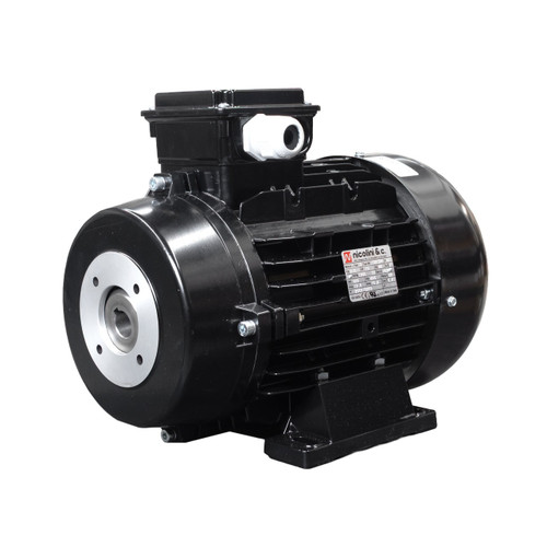 Nicolini Double Flange Electric Motor - 10 hp Three-Phase 600 V, 24 mm Hollow Shaft