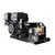 Canpump Belt-Drive Pressure Washer: 13 hp Engine, 3600 psi @ 5 US  gpm