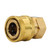 3/8-in Female NPT to 3/8-in Quick-Connect Socket Brass Adapter