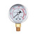 Canpump 5800 psi Hi-Pressure Gauge, 1/4-in NPT Bottom Mount