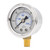 Canpump 2000 psi Hi-Pressure Misting Gauge, 1/8-in NPT Bottom Mount