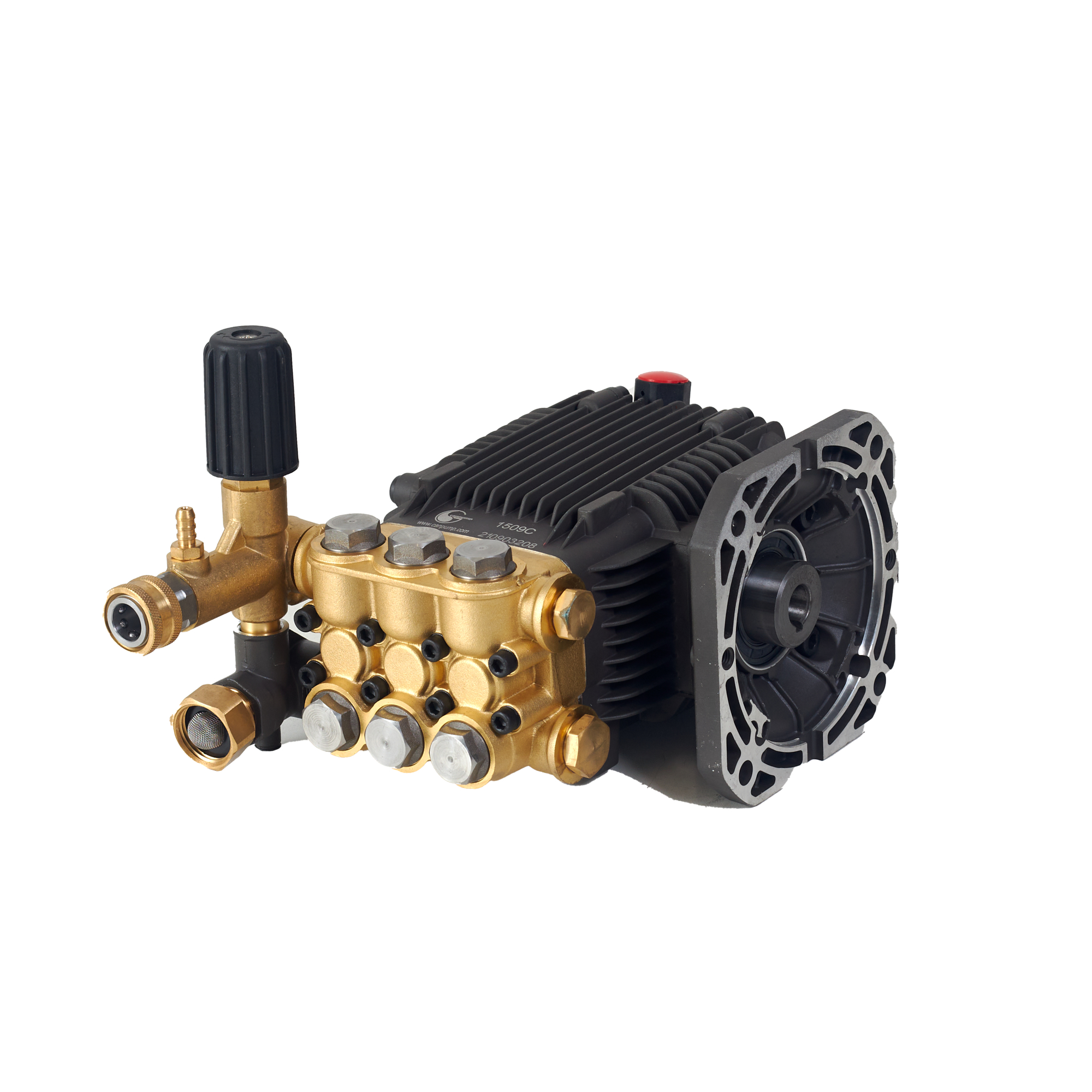 Canpump CF 1522 E: 1500 PSI @ 2.2 US GPM, 5/8-in Shaft Pressure Washer Pump 322052