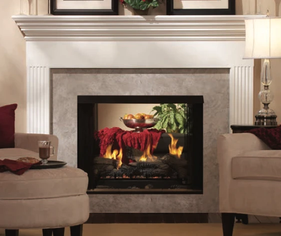 Empire WMH Breckenridge Premium 36" See-Thru Vent-Free Fireboxes - VFP36SB2EF