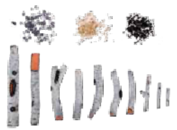 Amantii DESIGN-MEDIA-BIRCH-10PCE 10-Piece Birch Log Set Media Kit