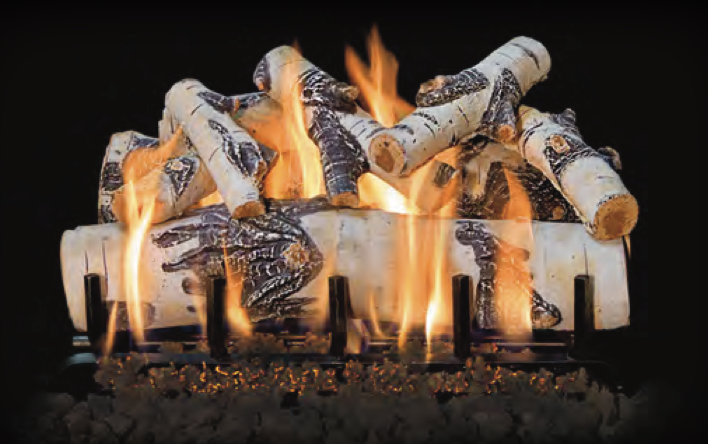 Grand Canyon Quaking Aspen 24" See-Through 2-Burner Vented Gas Log Set - ASPENST24LOGS