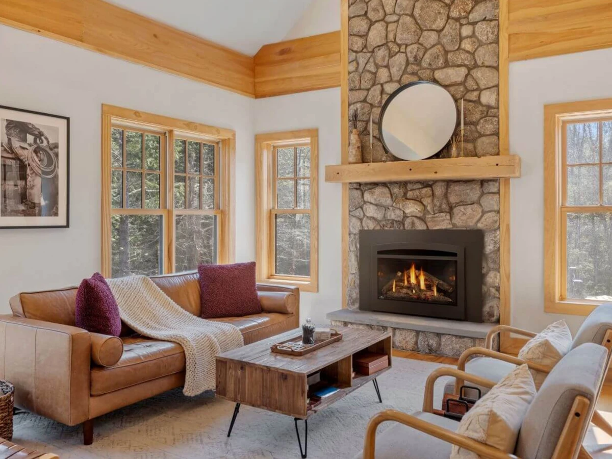 Napoleon Rosedale 3 Direct Vent Gas Fireplace Insert | Mod Living Spaces