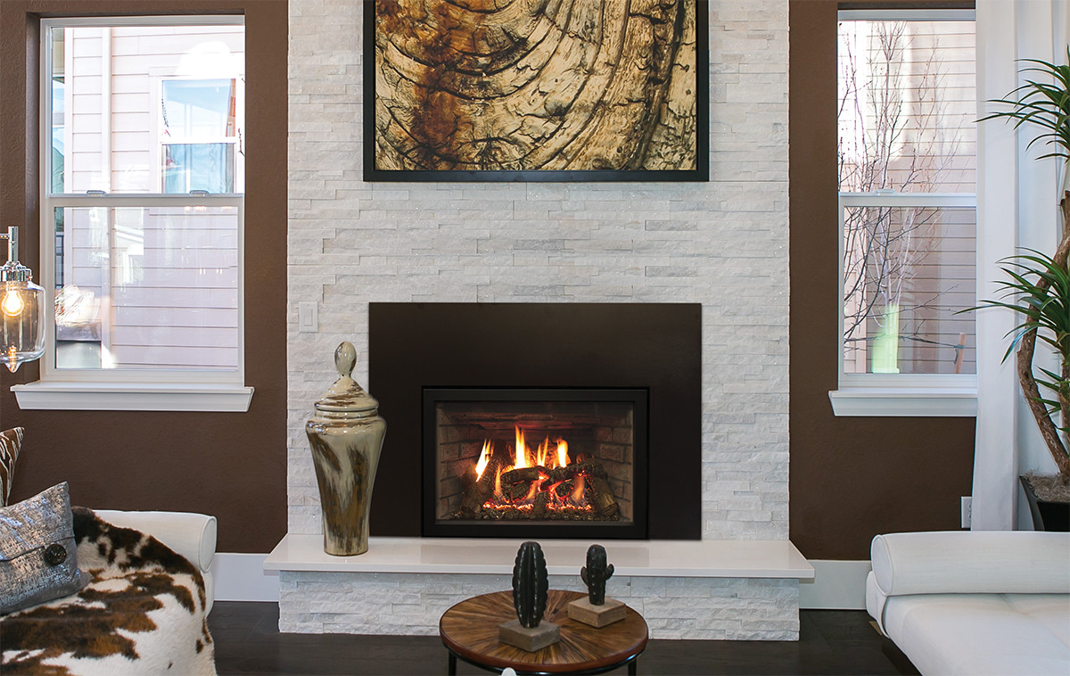 Empire White Mountain Hearth Rushmore 30" Direct Vent Gas Insert w/ TruFlame Technology - DVCT30CBN95N