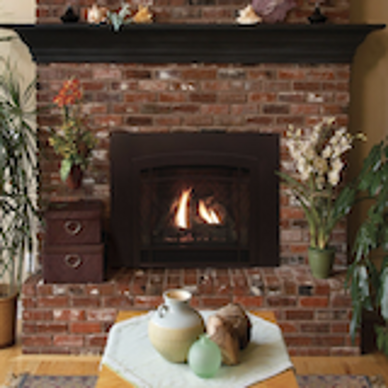 Fireplace Inserts