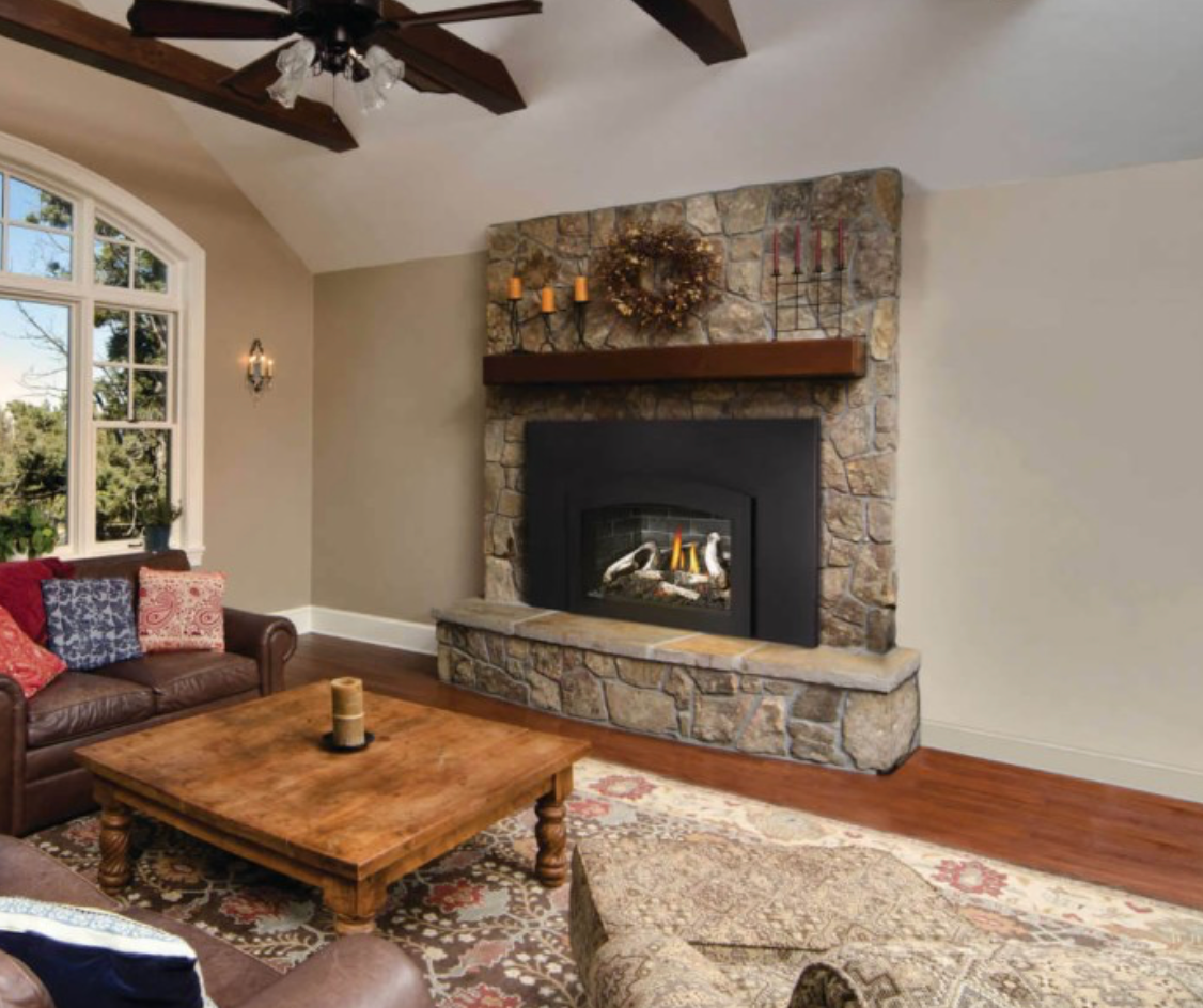 Napoleon Oakville X3 Direct Vent Fireplace Insert - GDIX3N-1