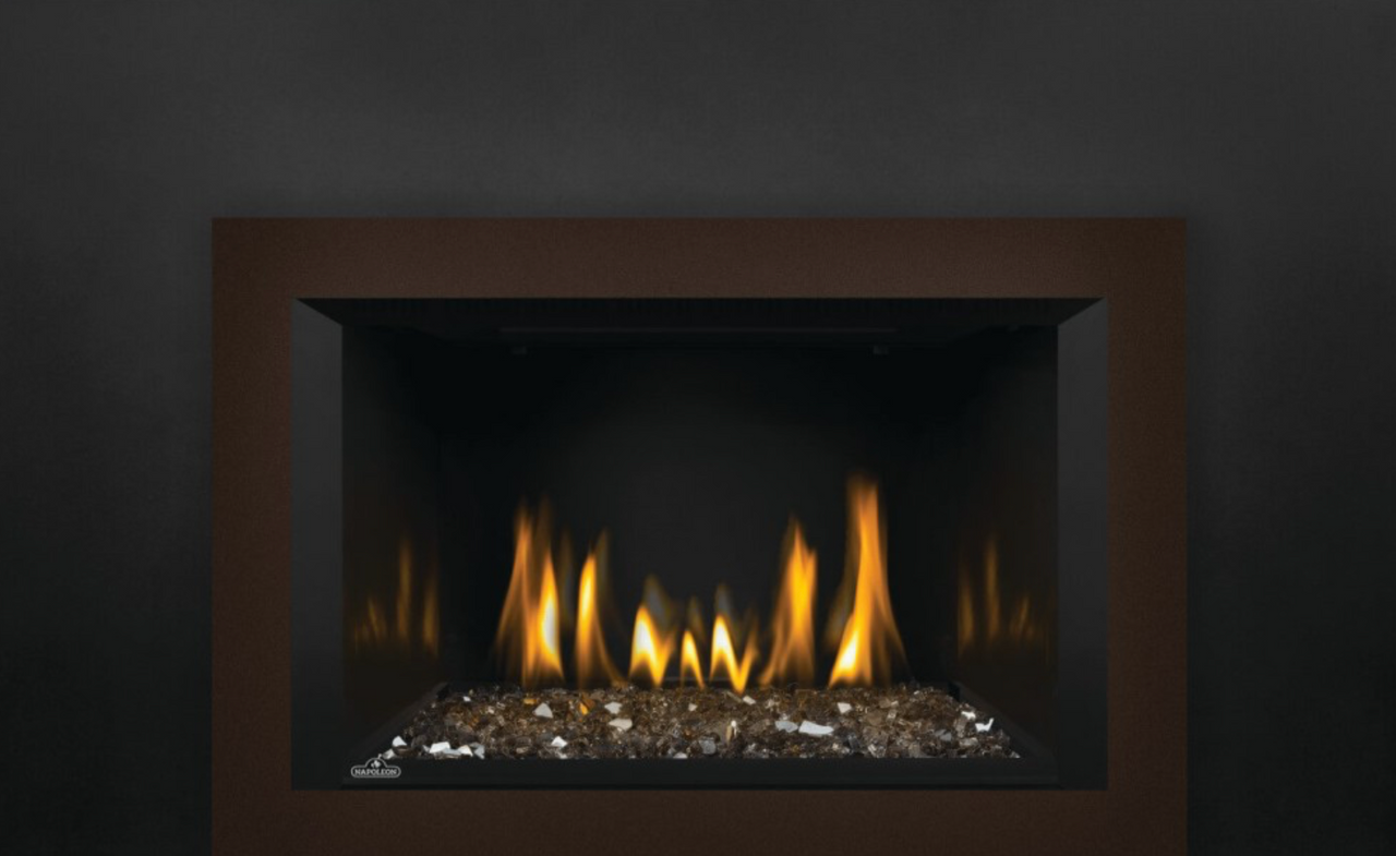 Napoleon Oakville 3 Glass Direct Vent Gas Fireplace Insert GDIG3N1