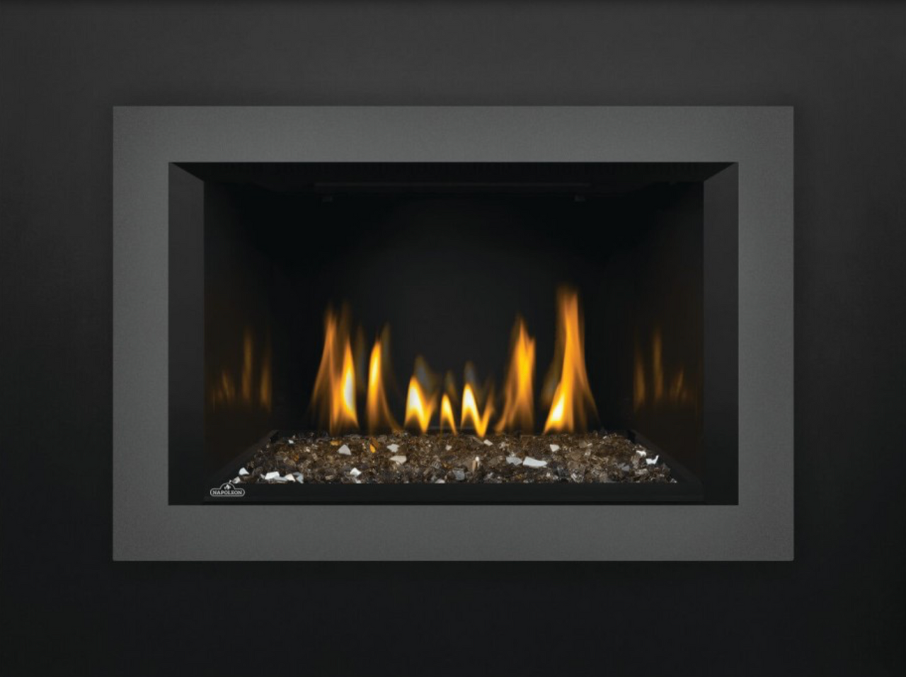 Napoleon Oakville 3 Glass Direct Vent Gas Fireplace Insert GDIG3N1