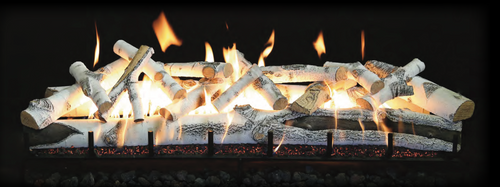 Grand Canyon Quaking Aspen 48" See-Through 2-Burner Vented Gas Log Set - ASPENST48LOGS