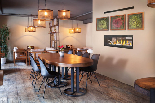 Napoleon Luxuria 50" See-Through Direct Vent Linear Gas Fireplace - LVX50N2X-1