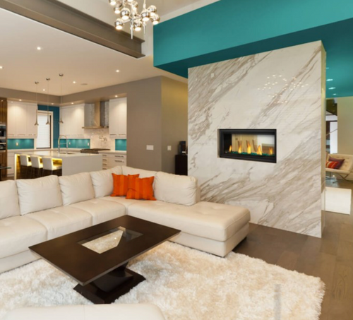 Napoleon Vector 38" See Through Linear Direct Vent Gas Fireplace