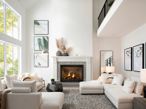 Majestic Meridian Platinum 36" Top/Rear Direct Vent Gas Fireplace - MER36PN(L)