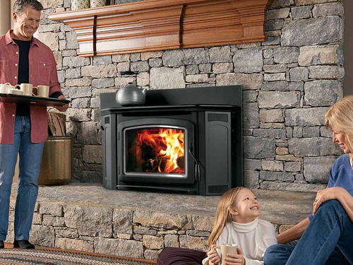 Ironstrike Montlake 300 Wood-Burning Insert