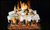 Real Fyre Mountain Birch 18/20" G45-2 Series Vented Standard See-Thru Gas Log Set - MBW-2-18/20
