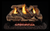 Real Fyre Split Oak 20" G9E Series Vent-Free Gas Log Set