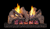 Real Fyre Foothill Oak 18" G19 Series Vent-Free Gas Log Set - FTO-18