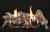 Empire WMH Driftwood Burncrete 30" 10-Piece Log Set - LS30CD