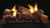 Empire WMH Stone River 18" Multi-Sided Ceramic Fiber Vented/Vent-Free Gas Log Set - LSU18SF