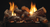 Empire WMH Rock Creek 18" Refractory Vented/Vent-Free Gas Log Set - LSU18RR