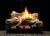 Empire WMH Flint Hill 18" 5-Piece Ceramic Fiber Vented/Vent-Free Gas Log Set  - VFDM(T,R)18