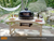 Primo Oval XL Ceramic Grill with Optional Cypress Table