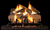 Real Fyre Charred Split 24" Standard Vented Gas Log Set - CHS-24-G45