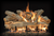 Grand Canyon 2-Burner Series 30" Arizona Juniper Vented Gas Log Set - AJ30LOGS