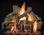 Grand Canyon Outdoor Series 21" Arizona Juniper Vented Gas Log Set - AJ21LOGS-OD