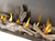 Napoleon Galaxy 62" Linear Outdoor Fireplace, Electronic Ignition - GSS62NE Napoleon Galaxy 62" Linear Outdoor Fireplace, Electronic Ignition - GSS62NE