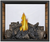 Napoleon High Definition See-Through Direct Vent Gas Fireplace
