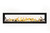 Napoleon Luxuria 74" See Through Linear Direct Vent Gas Fireplace