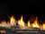 Majestic Echelon Direct Vent Gas Fireplace