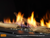 Majestic Echelon II 48" Fireplace