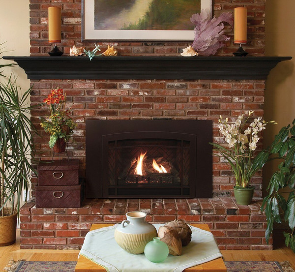 Empire WMH Medium 26" Innsbrook Direct-Vent Clean-Face Traditional Gas Insert, Millivolt Ignition - DVC26IN31N