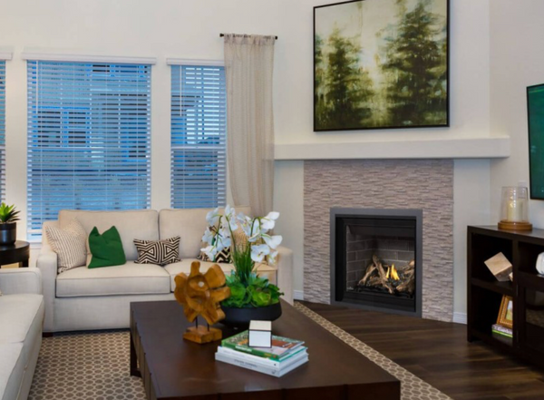 Napoleon Altitude 36" Traditional Direct Vent Gas Fireplace