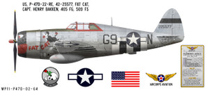 P-47D Thunderbolt "Fat Cat" -  Capt. Henry Bakken -  509th FS -  405th FG -  1944 Decorative Vinyl Decal