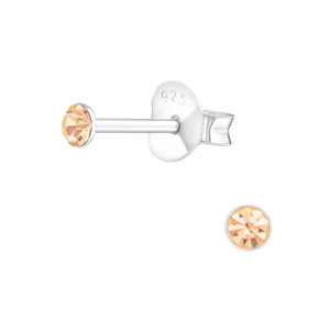 Silver Round 2.5mm Ear Studs with Crystals