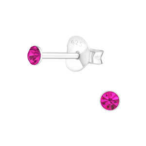 Silver Round 2.5mm Ear Studs with Crystals