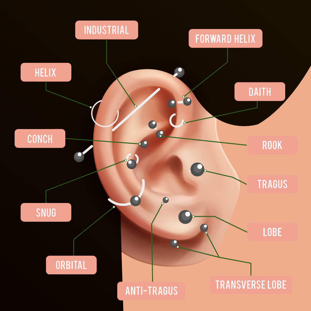Ear Piercing Chart ear piercing chart