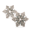 Snow Star, Earring Accessories