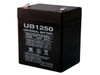 DSC PC1832 Security Alarm System Battery 12V 4.5Ah - UB1250| Battery Specialist Canada