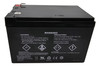APC Back UPS Pro 1000 BR1000G  Universal Battery - 12 Volts 12Ah -Terminal F2 - UB12120 Back| Battery Specialist Canada