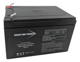 Buy More Save More!  Now Available 12 Volts 12Ah SLA AGM Battery with F2 Terminals