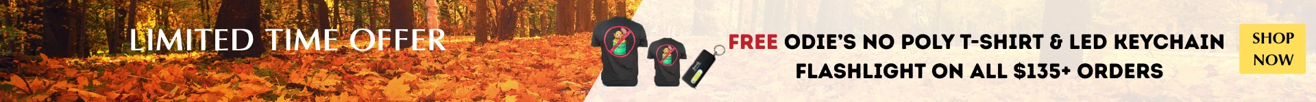 Top Promotion Banner