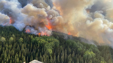 Ontario Wildfire Smoke Guide: Protection Tips & Exposure Symptoms for US Residents