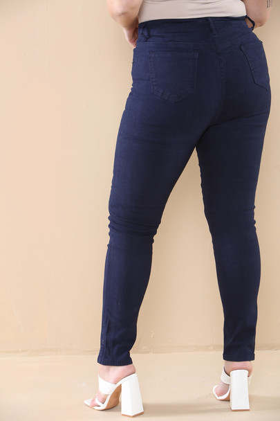 Mid & Plus Size Stretch Jeans Skinny Fit